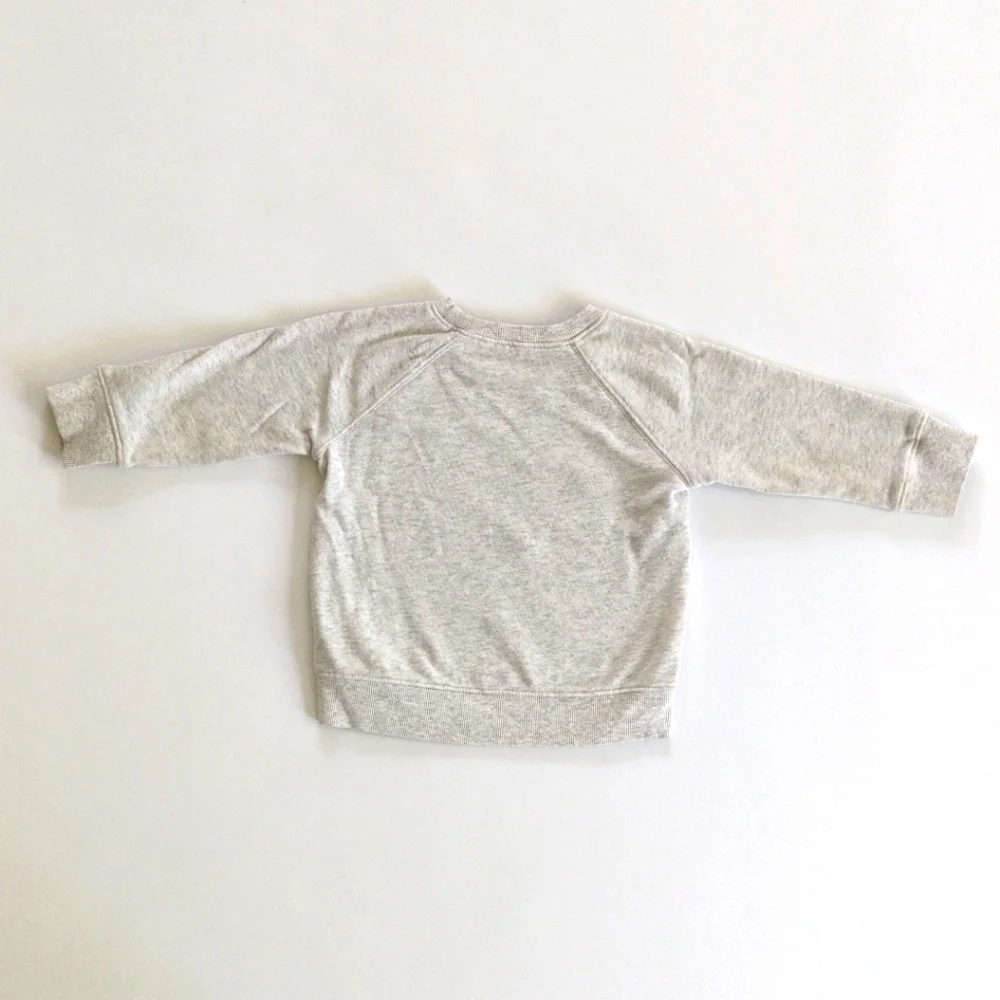 Jumping Beans 3T Softest Fleece Dinosaur Gray Sweatshirt